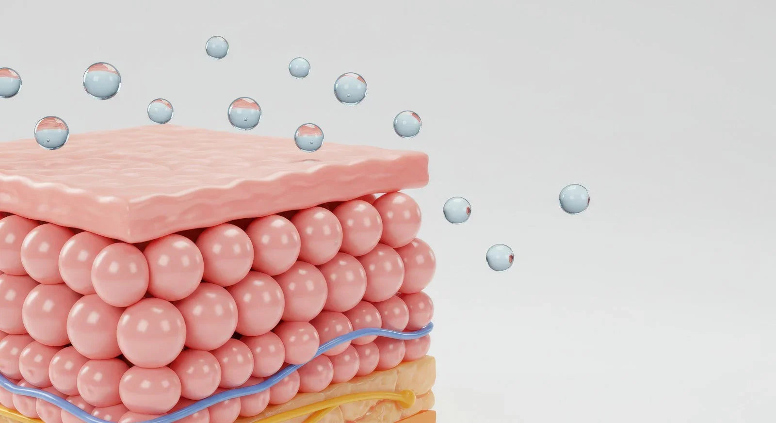 Haut: Die intelligente Barriere und Schönheitsbasis Ihres Körpers 